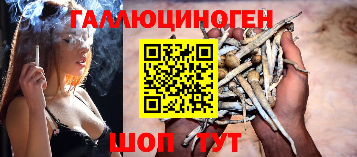 Псилоцибиновые грибы мухоморы  Вход с VPN  где купить наркоту  Орск 
