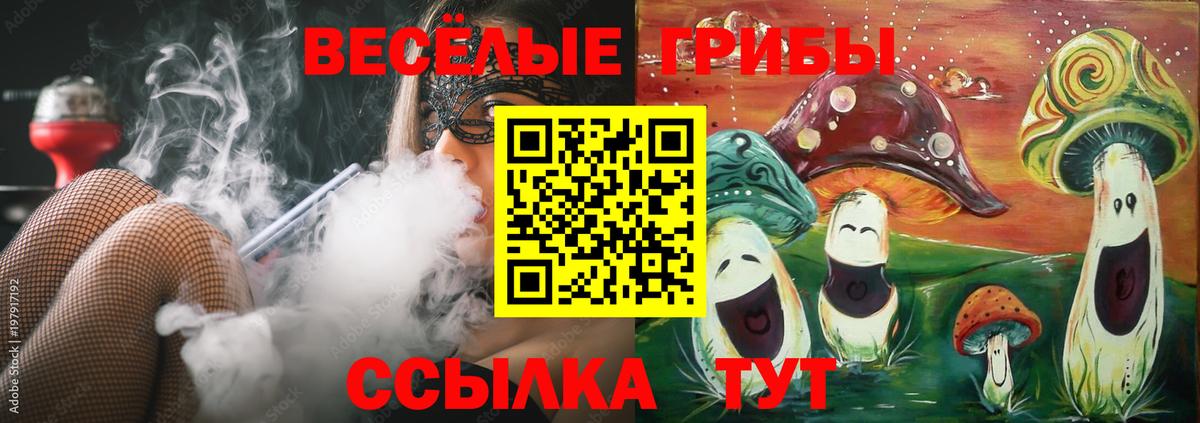 Псилоцибиновые грибы GOLDEN TEACHER Орск